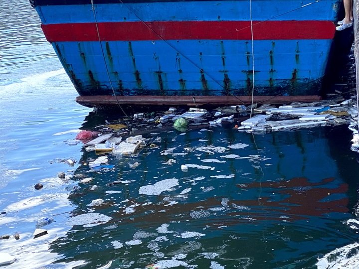 Binh Dinh fish port suffers serious pollution - 3 Binh Dinh fish port suffers serious pollution - 3