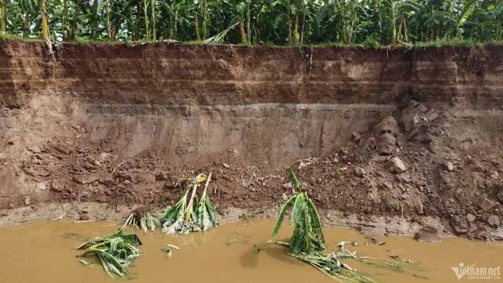 Over 1,000 households in Phu Tho threatened by river erosion - 2