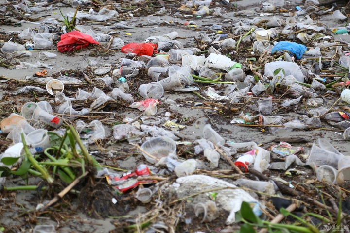 Danang beach blanketed by rubbish following heavy rains - 4 Danang beach blanketed by rubbish following heavy rains - 4