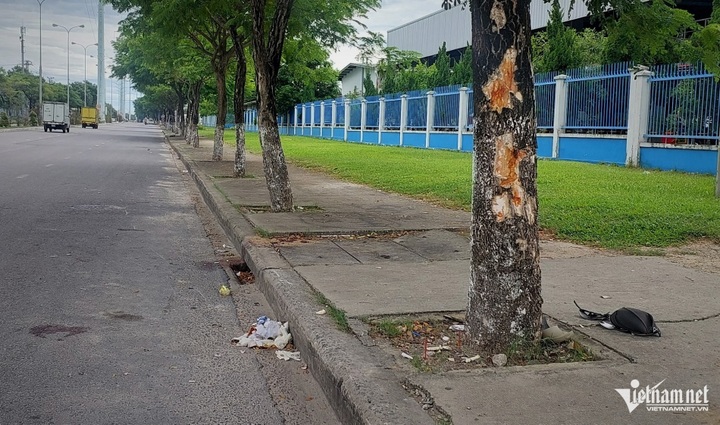 Three die in Danang motorbike accident - 1