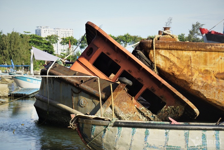 Rubbish covers Danang bay - 6