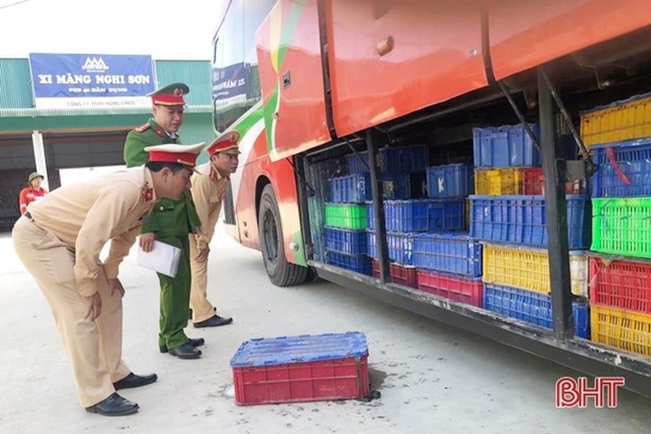 5 tonnes of wild animals found on bus in Ha Tinh - 1