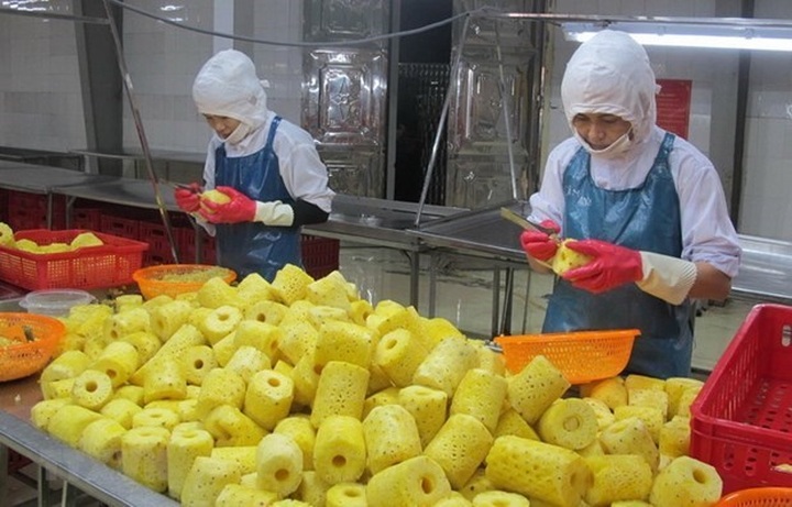 Vietnam advised to produce green, clean goods to win over European consumers - 1