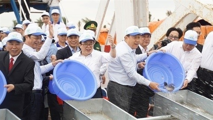 Efforts made to restore aquatic resources in Gulf of Tonkin - 1