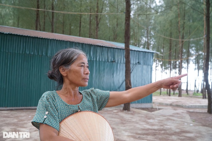 Thanh Hoa beach severely eroded - 3