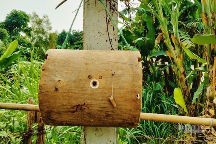 Bee colony collecting season in Ha Tinh - 1