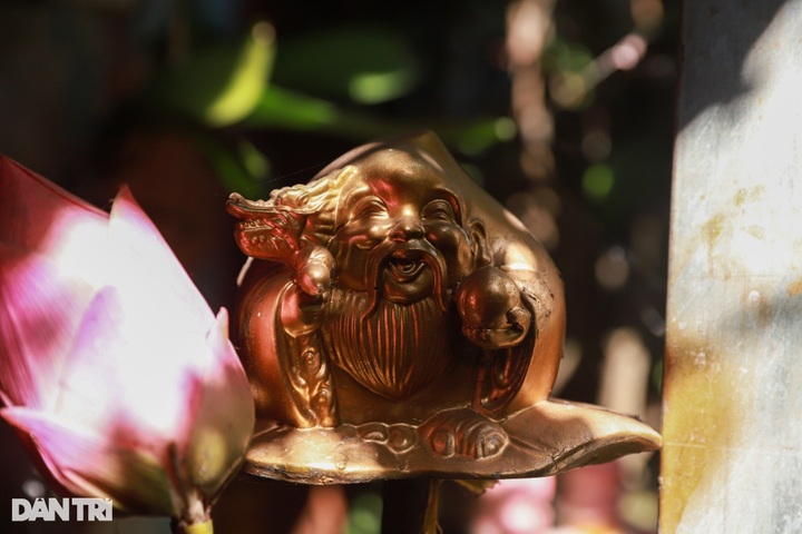 HCM City waste collector boasts antique collection - 3