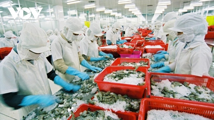 Shrimp businesses intensify greater investment for long-term development - 1
