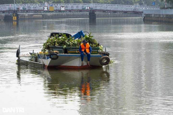 Environment workers protect HCM City canal - 11