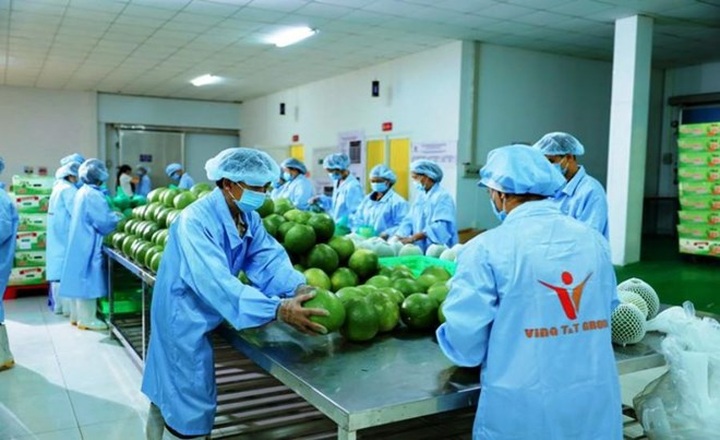 Vietnamese fruit and vegetable exports expected to reach USD7 billion this year - 1