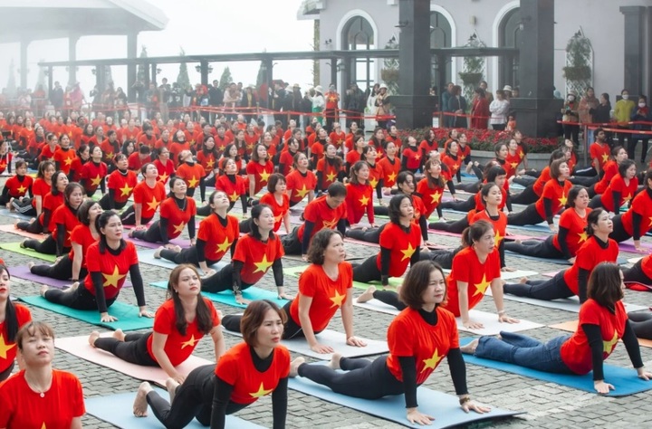 Summer Yoga Festival 2024 to attract nearly 1,500 practitioners - 1