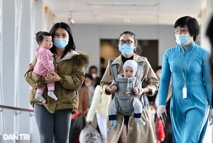 Nearly 300 Vietnamese return from Ukraine - 1
