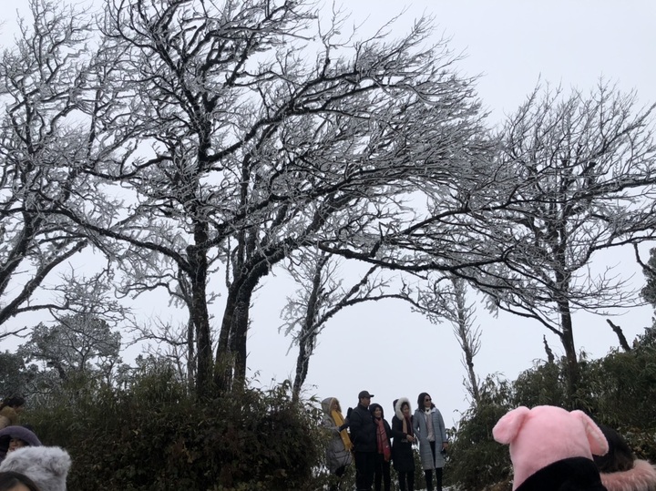 Northern region to face strongest cold spell so far this year - 1