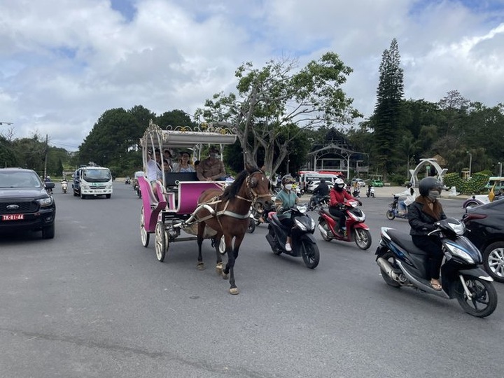 Da Lat proposes opening night market, casino services - 1
