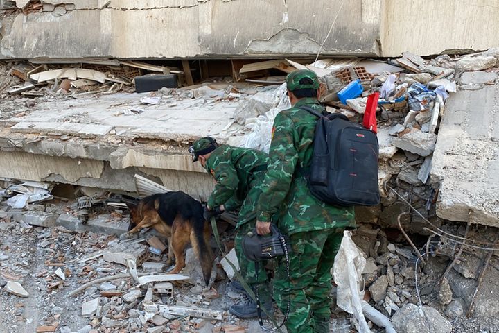 Vietnamese rescuers locate Turkish earthquake victims - 2
