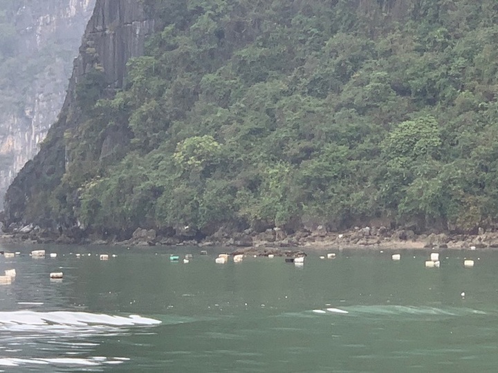 Fish farm styrofoam buoys pollute Ha Long Bay - 1 Fish farm styrofoam buoys pollute Ha Long Bay - 1