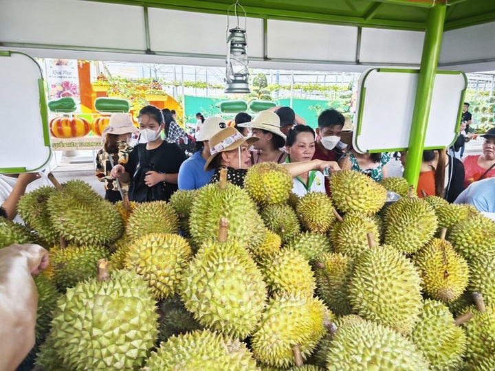 Fruit and vegetable exports hit record high over eight-month period - 1 Fruit and vegetable exports hit record high over eight-month period - 1