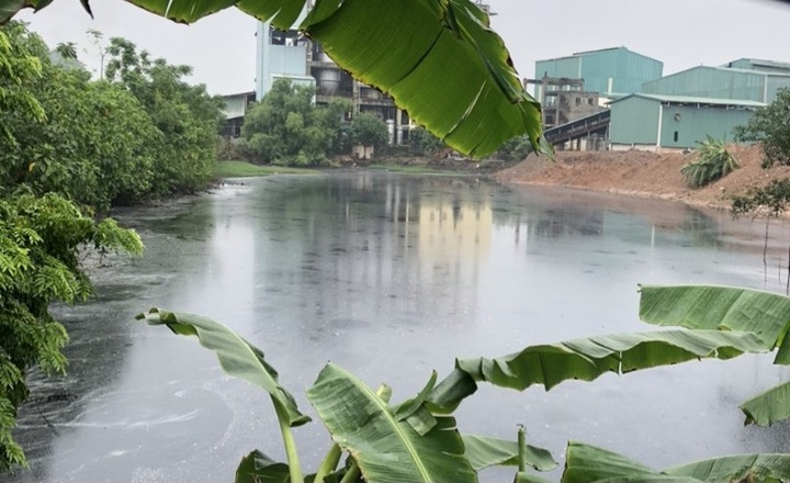 Vinh Phuc residents struggle with pollution from brick factory - 1