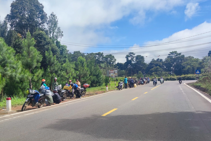 Thousands of workers flock to Kon Tum during coffee harvesting season - 1