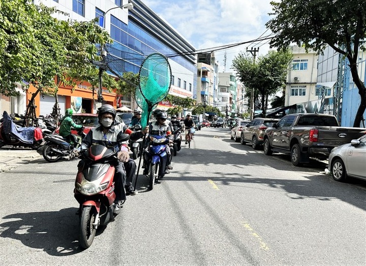 Danang establishes dogcatcher unit - 1