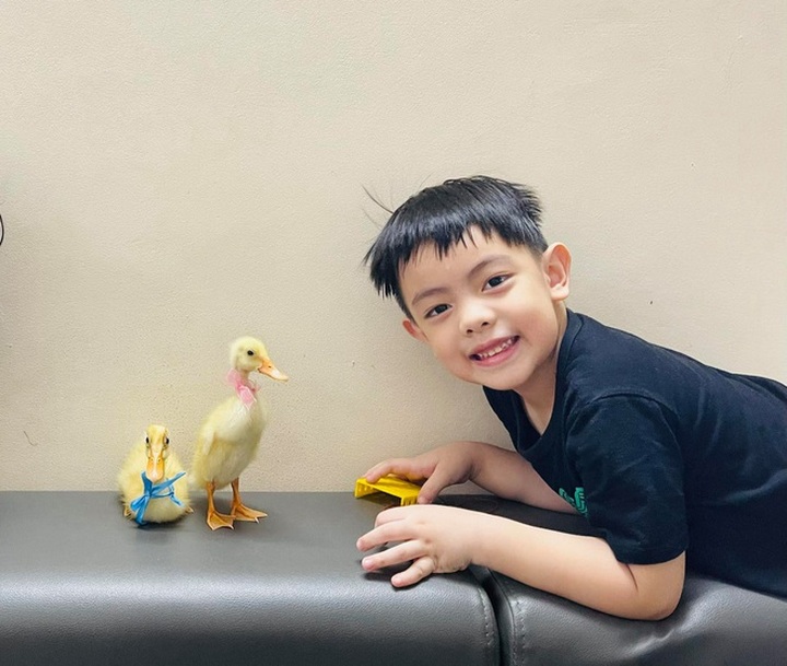 Children keep ducklings as pets during social distancing - 1