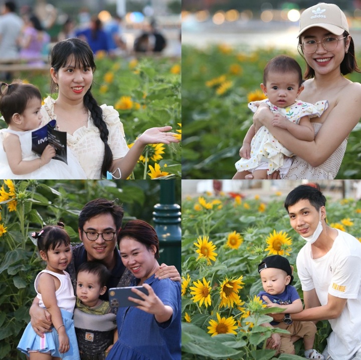 Sunflower field by Saigon River attract visitors - 5 Sunflower field by Saigon River attract visitors - 5