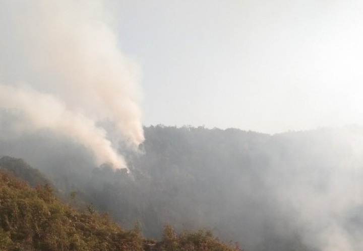 Hundreds help stamp out Yen Bai forest fire - 1