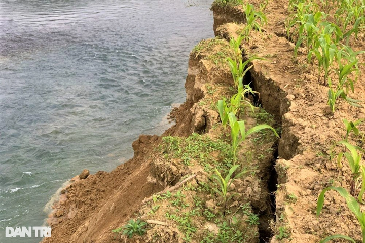 Ha Tinh farmers lose land due to erosion - 2