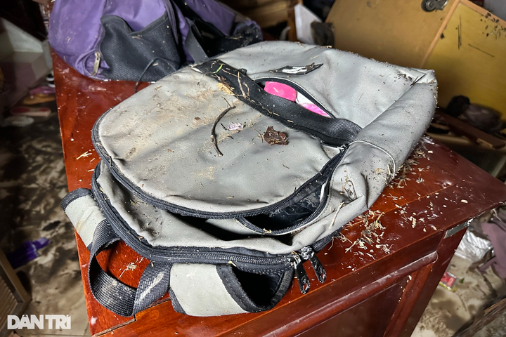 Historical flooding ravages Dong Nai - 6