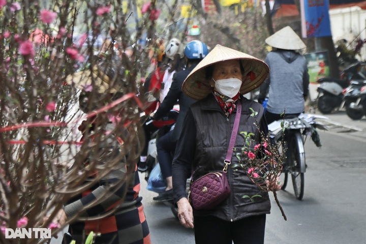 Hanoi flower market bustles as Tet nears - 4 Hanoi flower market bustles as Tet nears - 4