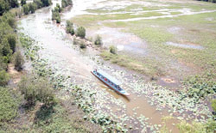 Delta targets wetlands preservation - 1
