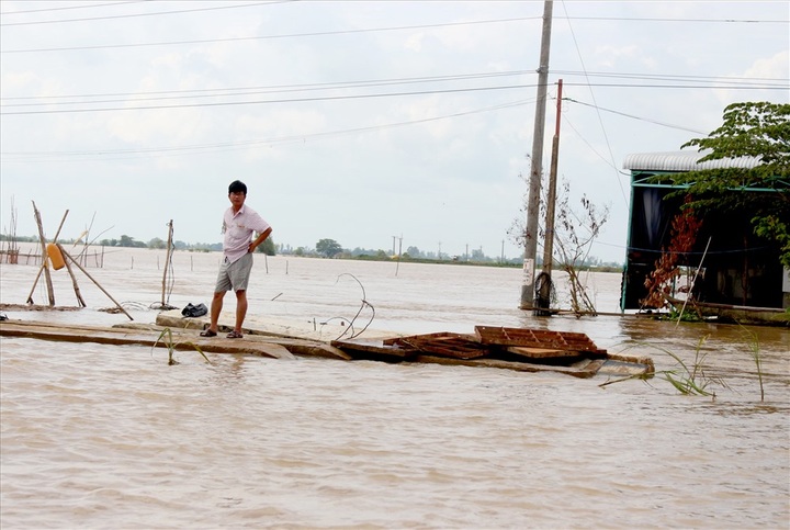 Hundreds of pupils affected as floods rise in Dong Thap - 2