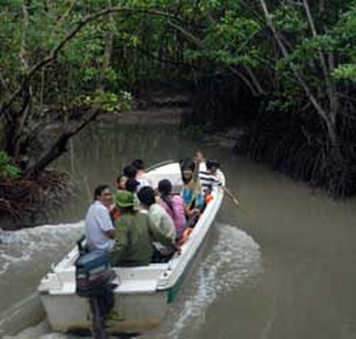 HCM City to develop river tourism - 1