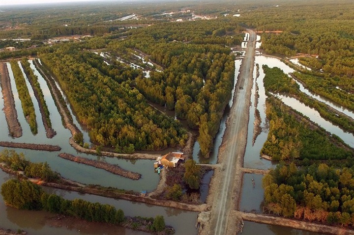 Vietnam struggles to preserve biodiversity - 1