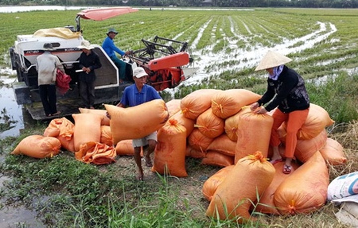 Workshop focuses on food security - 1