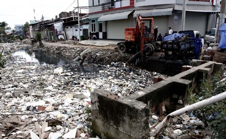 Environment law lifts green ethos - 1