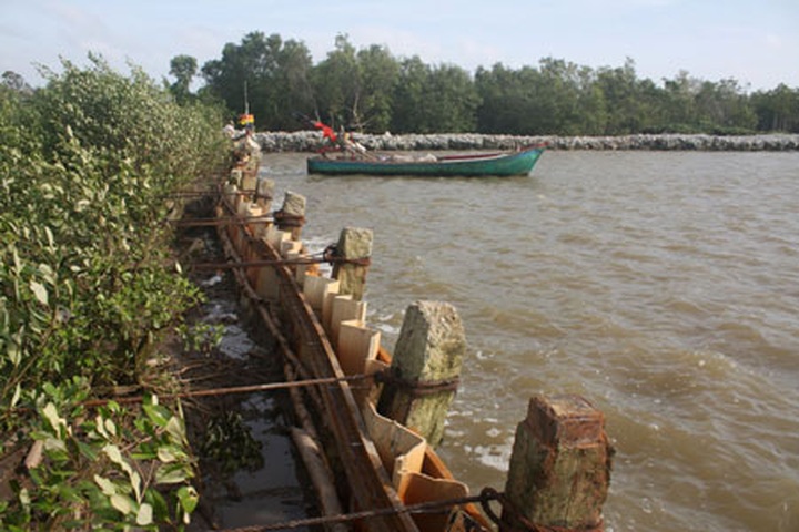 Vietnam failing to combat coastal erosion - 1