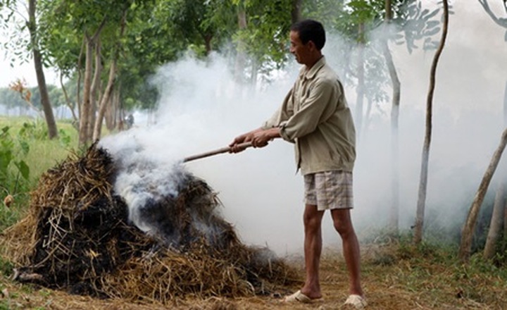 Post harvest straw smoke continues to harm people - 1