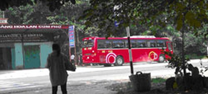 Tourists still pay for bear bile - 1