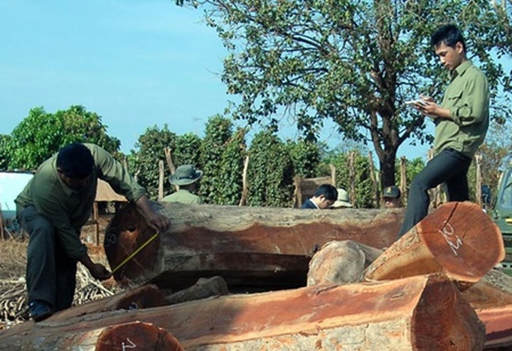 Ministry wants ban on natural forest exploitation - 1