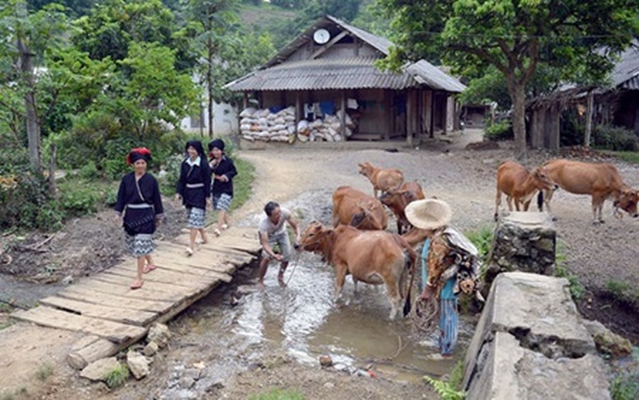 PM okays relocation plan for Hoa Binh reservoir - 1 PM okays relocation plan for Hoa Binh reservoir - 1