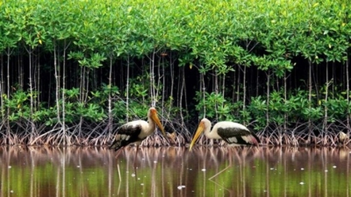 Top ten events of natural resources and environment sector announced - 1