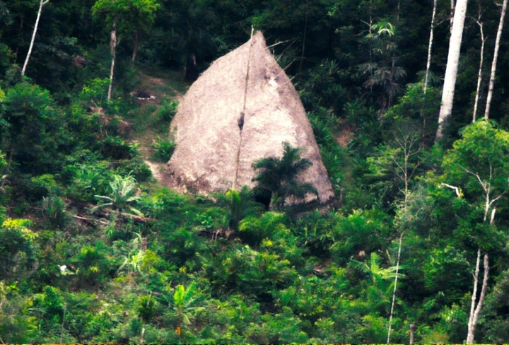 Isolated tribe members in Brazil spotted in drone footage - 1 Isolated tribe members in Brazil spotted in drone footage - 1