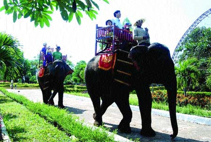 Tourists flock to verdant Tay Nguyen region - 2