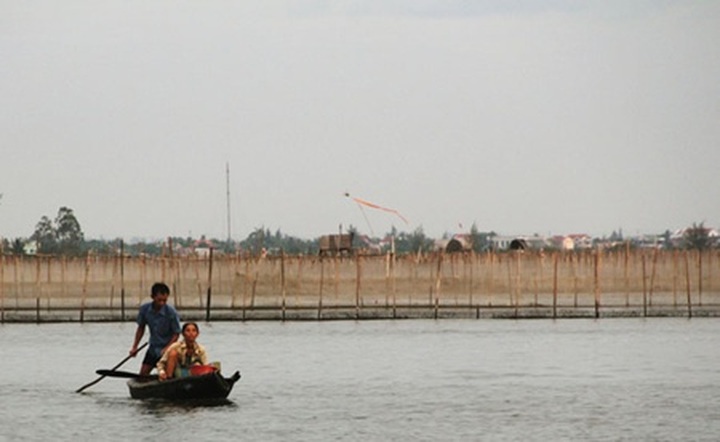 Lagoon project protects wildlife - 1