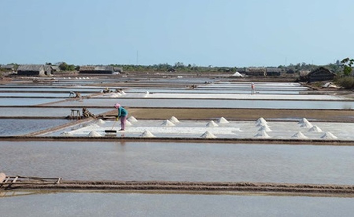Hot weather lifts Ben Tre salt yield by 30% - 1