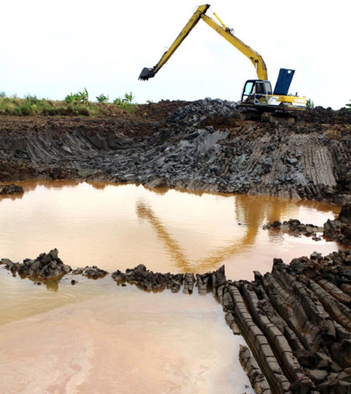 Delta saline intrusion curbs production, puts rice at risk - 1