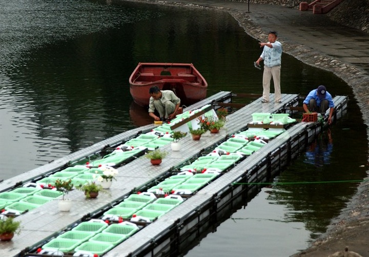 Water quality in Hanoi’s lakes improves after cleaning work - 2 Water quality in Hanoi’s lakes improves after cleaning work - 2