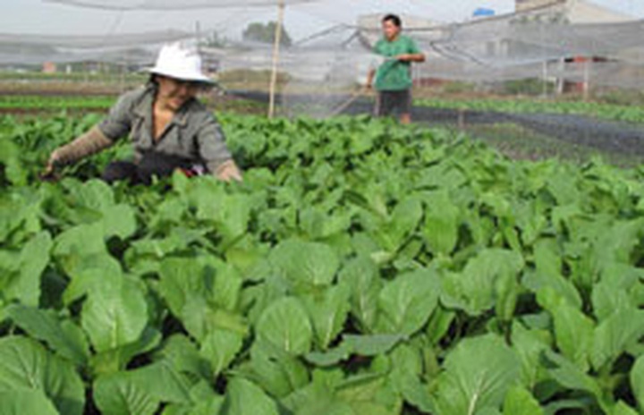 Nation approves green growth strategy - 1