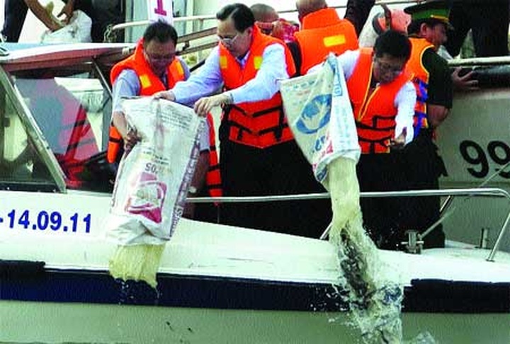 HCM City turns squalid canals into green spots - 4